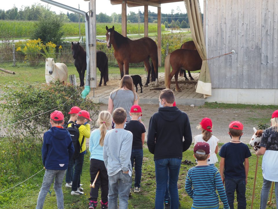 Aktivstall Grasbrunn