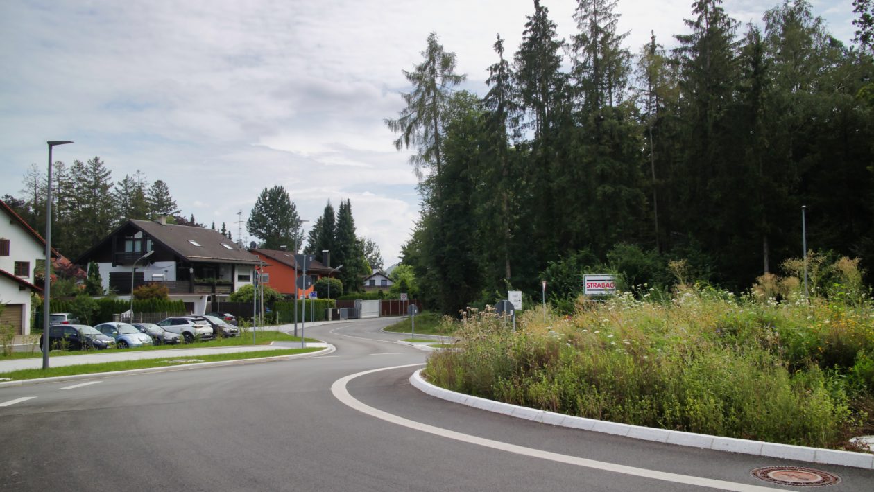 Leonard-Stadler-Str. Kreisel