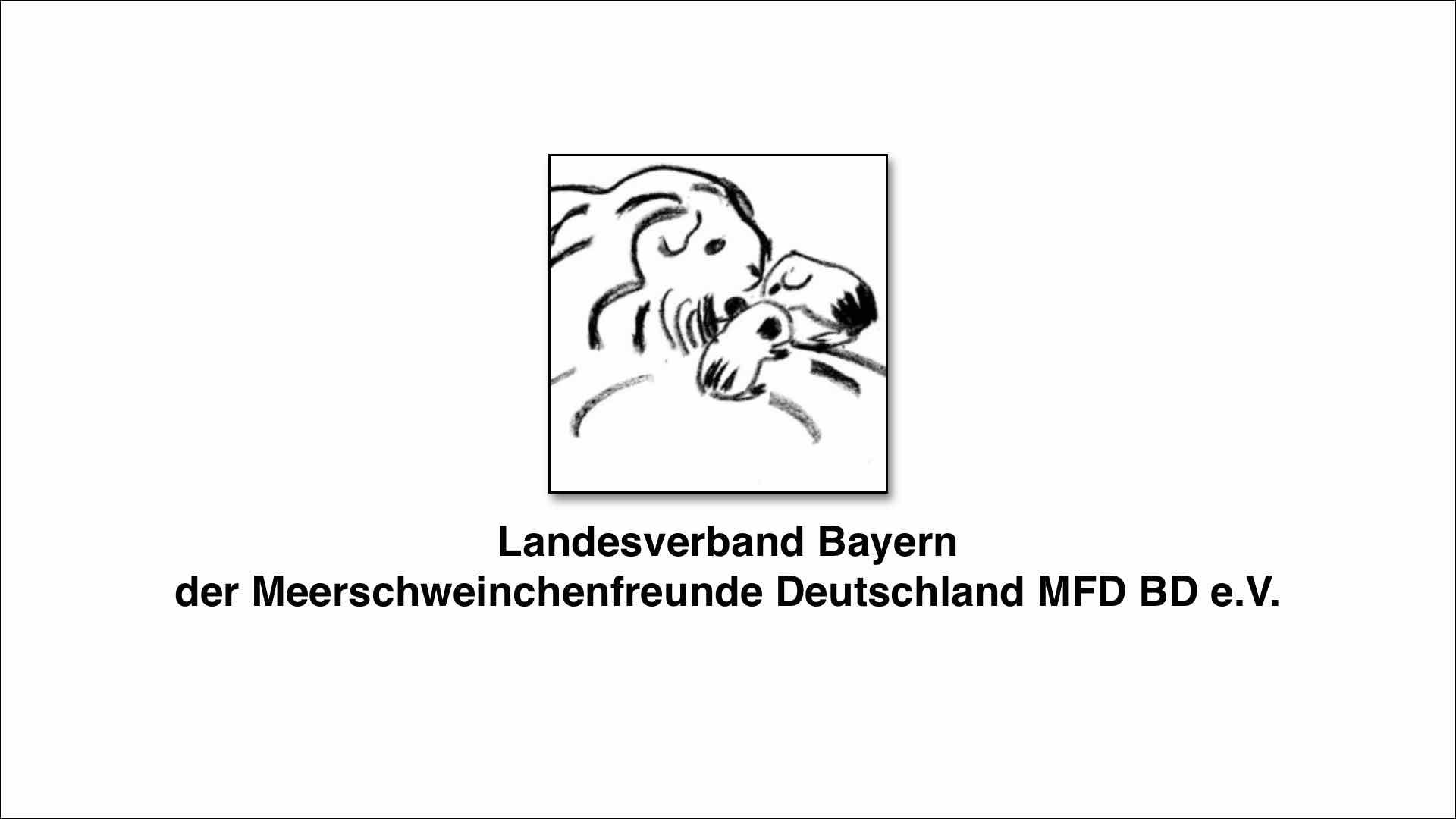 Landesverband Bayern der Meerschweinchenfreunde Deutschland MFD BD e.V.