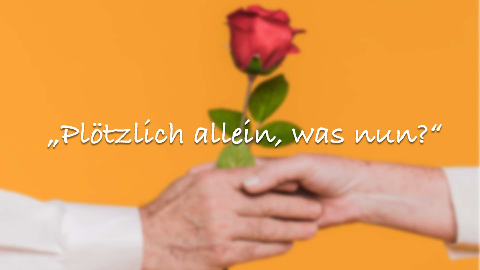 Plötzlich allein, was nun? Gruppe