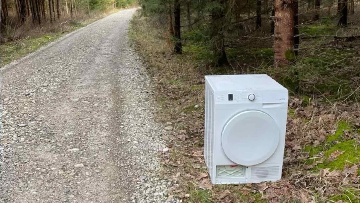 Erneute Müllentsorgung im Wald